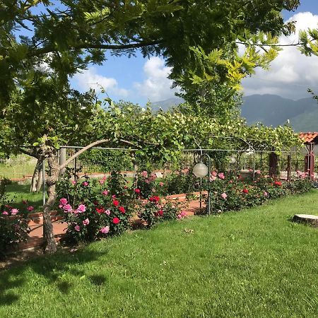 Alma Migrante Bed&Wine Hotel Telese Terme Ngoại thất bức ảnh