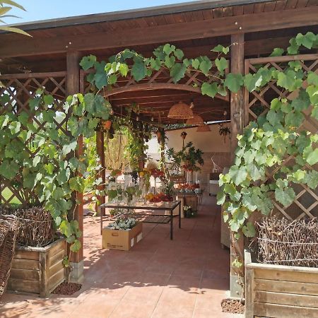 Alma Migrante Bed&Wine Hotel Telese Terme Ngoại thất bức ảnh