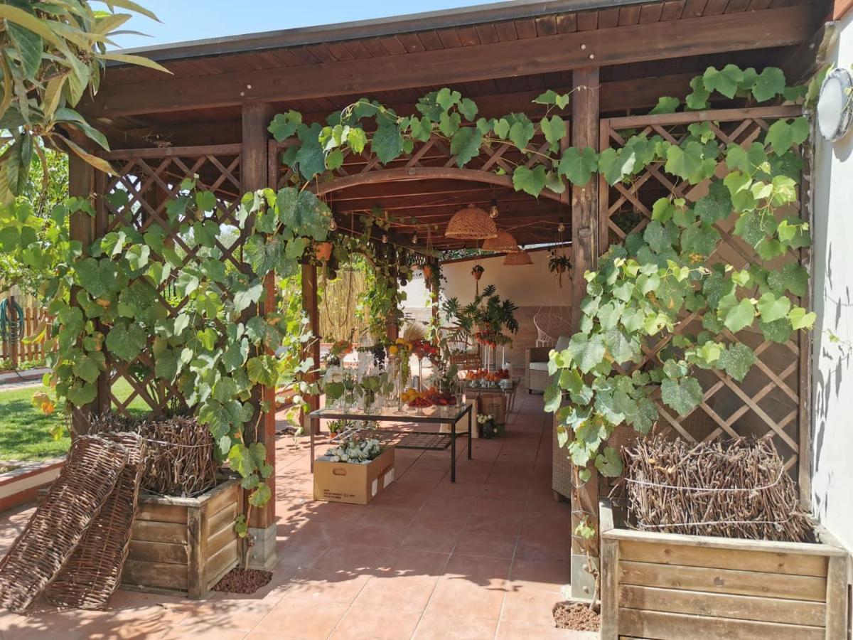 Alma Migrante Bed&Wine Hotel Telese Terme Ngoại thất bức ảnh